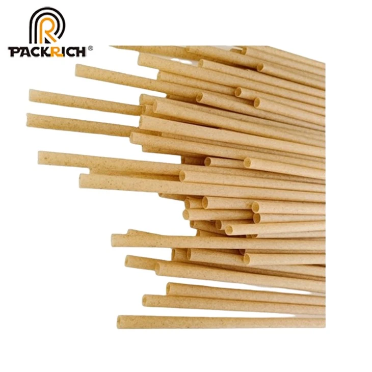 Disposable Beverage Sugarcane Straw